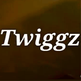 Twiggz Follow The Lead