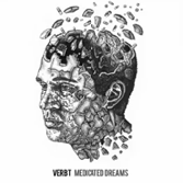 Verb T Medicated Dreams EP Review